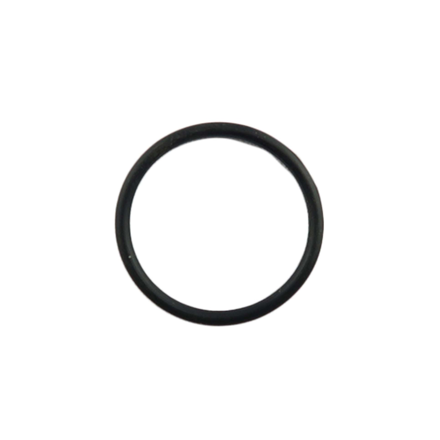 Biasi O'Ring Gasket BI1001128