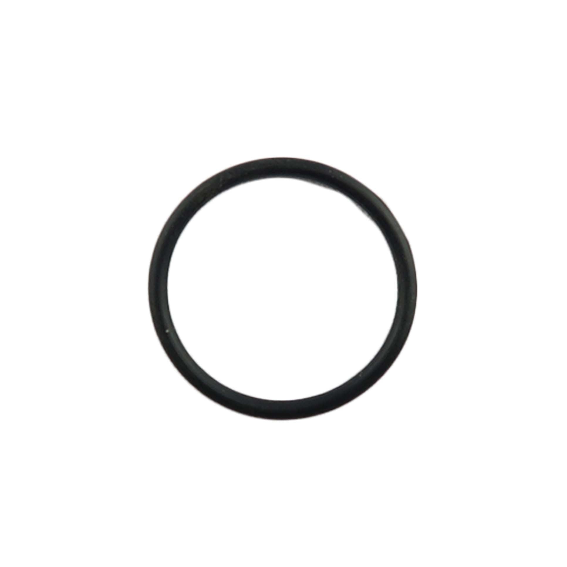 Biasi O'Ring Gasket BI1001128