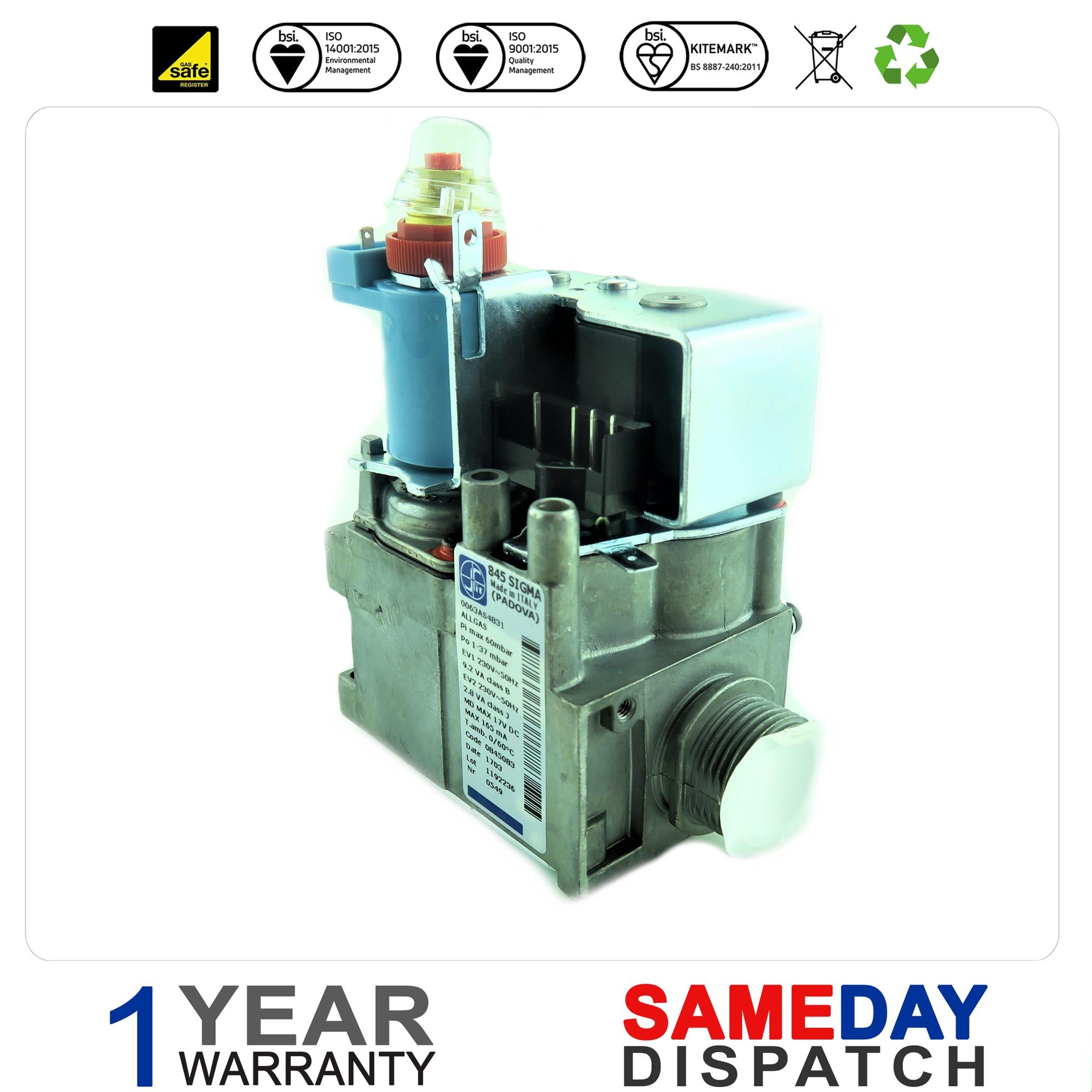 Biasi Boiler Gas Valve BI1193105