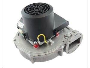 Keston Boiler Fan C17301000
